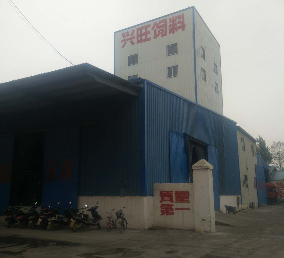 興旺風(fēng)采